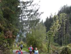 191009_fitlauf